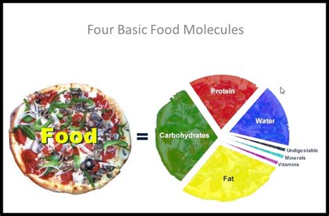 S T R A V A G A N Z A The Four Basic Food Molecules