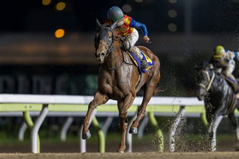 【帝王賞】デムーロ「伸びなかった」オメガパフュームはまさかの5着 競馬ニュースなら競馬のおはなし