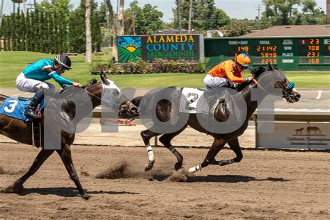 ALAMEDA COUNTY FAIR 2023 - vassarphotography