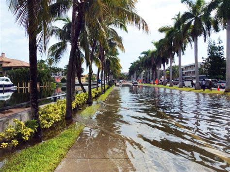 King Tides 2024 Florida Shel Yolane