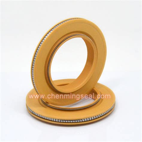 Polyimid Spring Energized Seal Ptfe Lip Seal Ptfe Oil Sealspring Energized Seal Ningbo