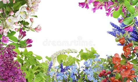 Spring May flowers mix stock photo. Image of lavender - 14558174