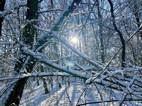 Hilden D Sseldorf So Sch N Ist Der Elbsee Im Winter