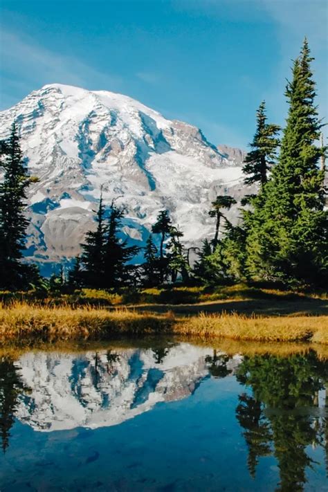 Experience mt rainier national park airbnb – Artofit