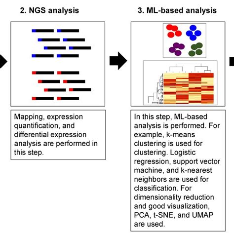 Schematic Diagram Of Pipeline Of Scrna Seq Analysis Ngs Data Input Download Scientific