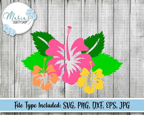 Hibiscus Svg Hawaiian Flower Svg Tropical Flower Svg Flower Etsy