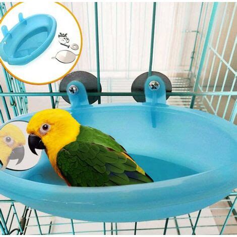 Baignoire Pour Perroquet Avec Miroir Accessoires Pour Cage Oiseaux