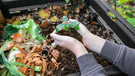 D A Del Medio Ambiente Aprende A Hacer Tu Propia Composta Con Desechos