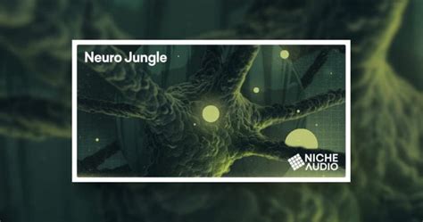 Niche Audio Releases Neuro Jungle Sample Pack At Loopmasters