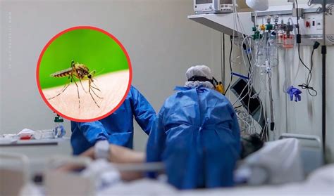 Cu Les Son Los S Ntomas Del Dengue Y Qu Tasa De Mortalidad Tiene En