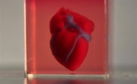 Scientists Unveil World S First 3D Printed Heart With Human Tissue