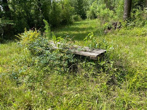 Hinson Trail Florida Hikes