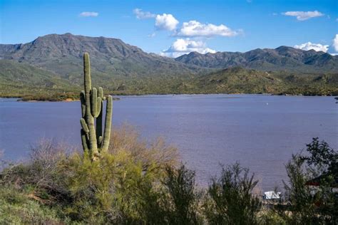 Tonto National Forest Camping Guide - Beyond The Tent