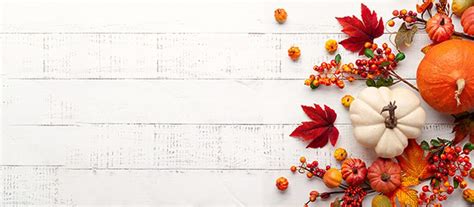 Hustle Thanksgiving BG | POLARIS Laboratories®