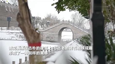 千城胜景丨河北魏县：雪落礼贤台 漫天飞花入画来全屏视频雪花