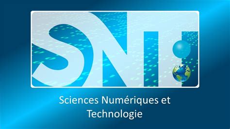 2nde SNT 3 Réseaux Sociaux 61 jouer Quizizz