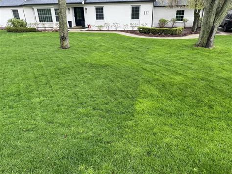 Different types of grass in yard : r/landscaping