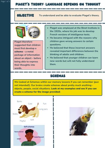 GCSE Psychology: PIAGET’S THEORY LANGUAGE DEPENDS ON THOUGHT | Teaching ...