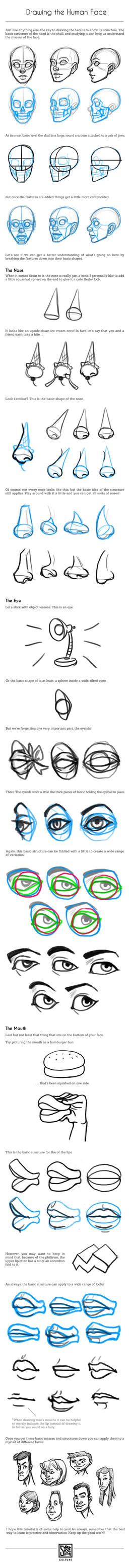 Drawing the Human Face Tutorial by SarahCulture on DeviantArt