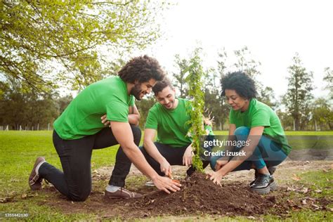 Voluntarios Multirraciales Plantando En Parque Público Foto De Stock