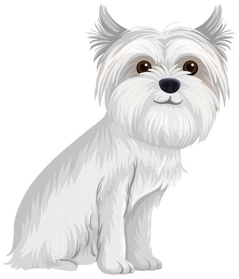 Premium Vector | Maltese cartoon style on white background