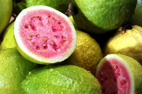 Guayaba ¿por QuÉ Es Tan Importantes Su Cultivo En MÉxico