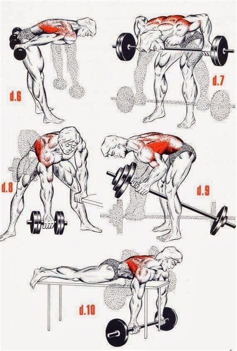 The Fitness Era Hardcore Back Workout Musculation Exercice