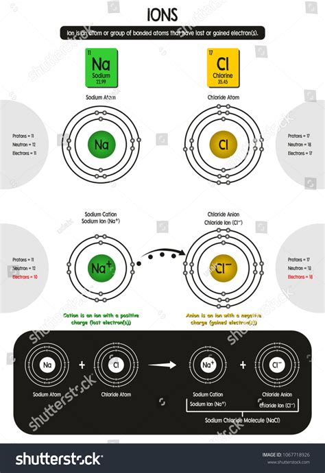ions infographic diagram showing atoms structure stock vector royalty