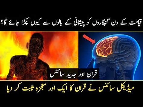 Medical Science Proved Another Miracle Of Quran Urdu Hindi YouTube