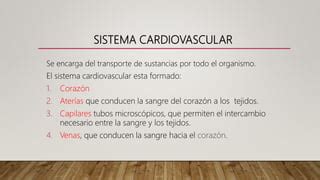 Sistema Cardiovascular Anatomia Topografica Ppt