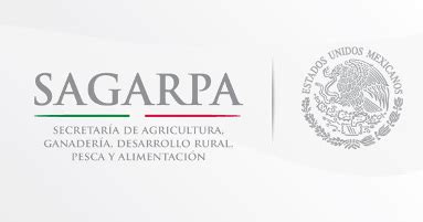 SAGARPA Veracruz invita a productores a inscribirse en el padrón único