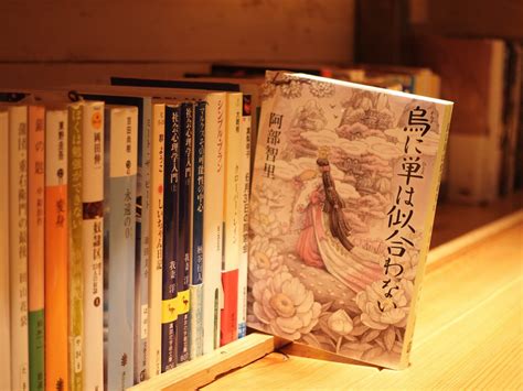 News渋谷の森の図書室、あるいは離島の海の図書室。