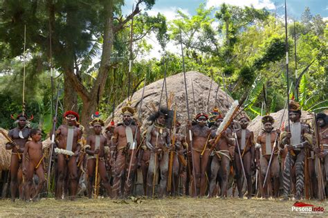 Festival Lembah Baliem Wamena Di Tanah Papua Pesona Indonesia