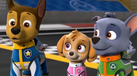 Rocky Gallery Ready Race Rescue Paw Patrol Cartoon Skye Paw Patrol