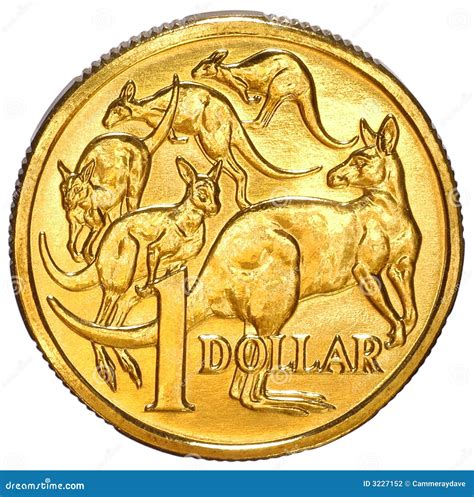 Australian One Dollar Coin stock photo. Image of rich - 3227152