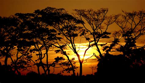 African sunrise Free Photo Download | FreeImages