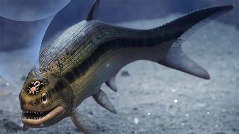 Otak Tertua Vertebrata Ditemukan Di Fosil Ikan Berusia Juta Tahun