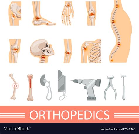 Orthopedic Icons Set Human Skeleton Bones And Vector Image