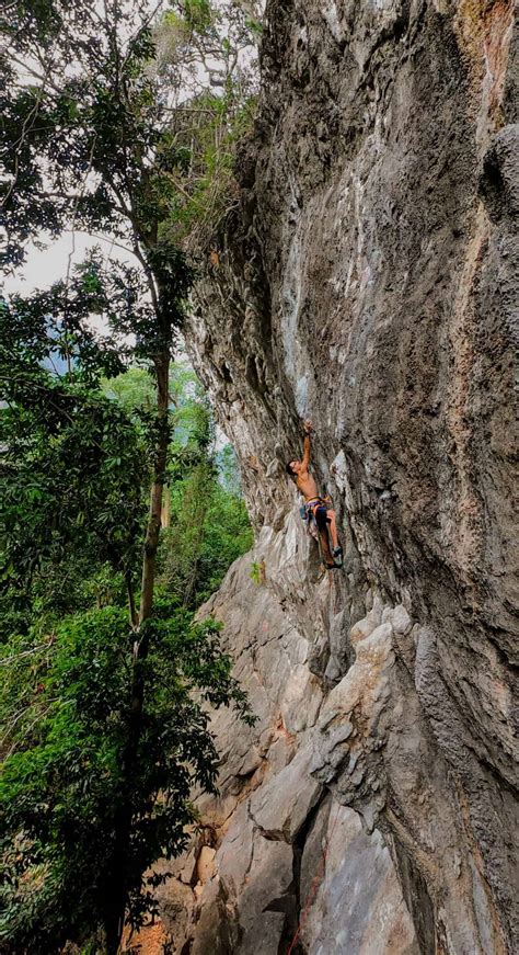 ᐈ Entrenamiento De Escalada ¿cómo Mejorar Tu Escalada