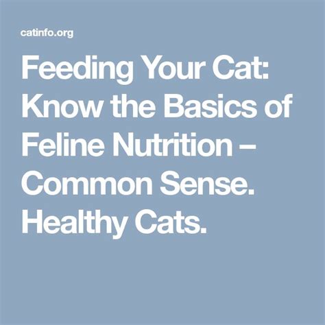 Feeding Your Cat Know The Basics Of Feline Nutrition Lisa A Pierson Dvm Healthy Cat Cat