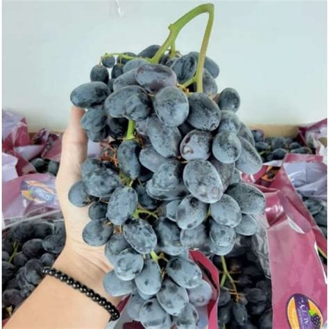 Jual Anggur Black Seedless Midnight Beauty 500 Gram Shopee Indonesia