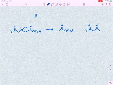 SOLVED Leucine One Of The Twenty Amino Acids Found In Proteins Is