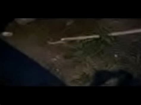 Meter Ligue Gil Mijando Na Boca No Bar Da Galega Quer Tambem XVIDEOS