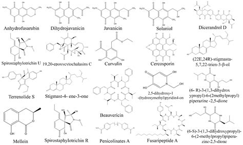 Biomolecules Free Full Text Fungal Endophytes Microfactories Of