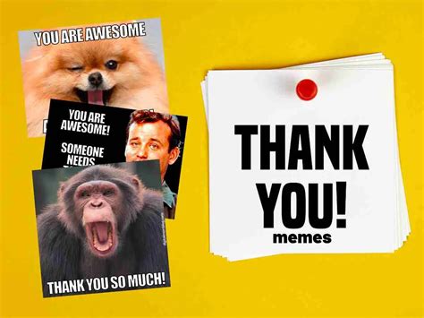 25 Thank You Memes That Speak Louder Than Sending A Card