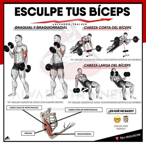 Álvaro Guzmán On Instagram 💥 Esculpe Tus BÍceps 💪 ☝️ Ayer Subimos