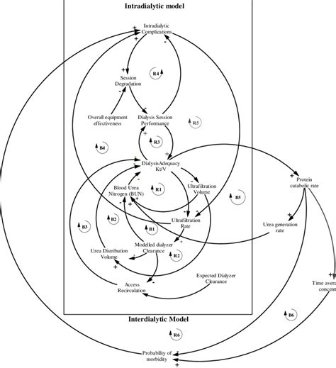 The Overall Causal Loop Diagram Of Hemodiadynamics 13 Download