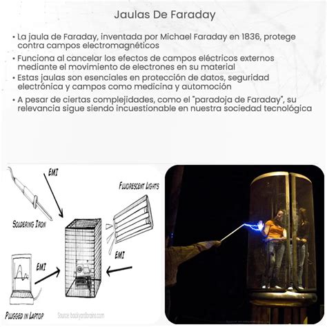 Qu Es Una Jaula De Faraday