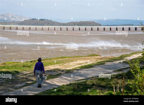 The Arnside Tidal Bore Traveling Up The Kent Estuary At Arnside