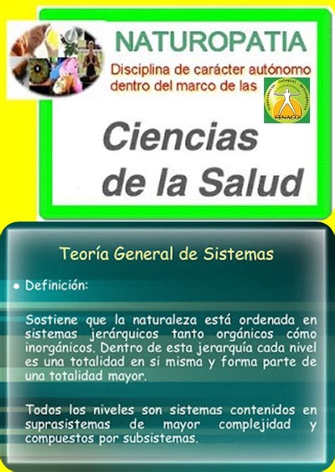 El Contenido Del Modelo Conceptual De La Naturopat A Se Nuclea Entre